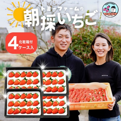 <章姫> 完熟いちご 420g以上(9から15粒)×4ケース・T072-37