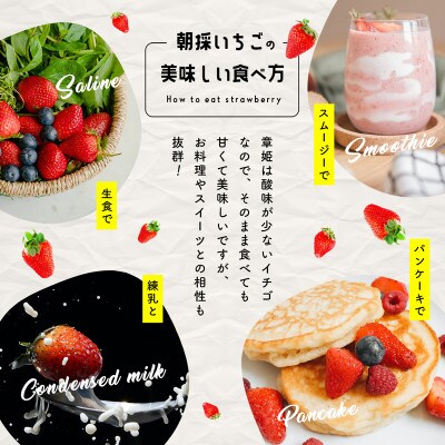 <章姫> 完熟いちご 420g以上(9から15粒)×4ケース・T072-37