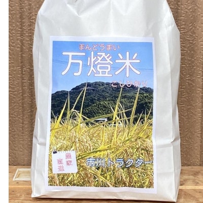 令和6年産＜万燈米＞【こしひかり 3.5kg×2袋 】・I027-13-1