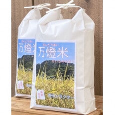 令和5年産＜万燈米＞【あいちのかおり 4.5kg&times;2袋】・I028-13