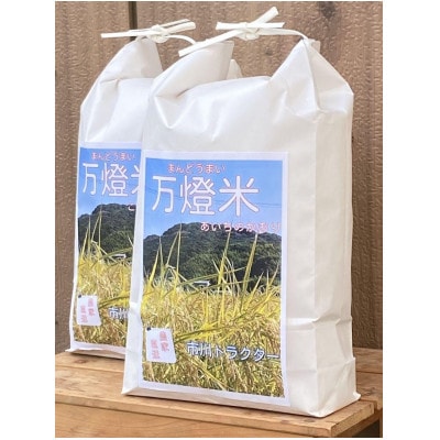 【令和7年産】＜万燈米＞【あいちのかおり 4.5kg×2袋】・I028-20