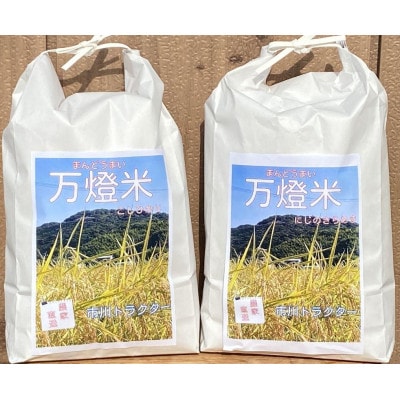 令和6年産＜万燈米＞食べ比べセットこしひかり3.5kg+にじのきらめき3.5kg・I030-13-1
