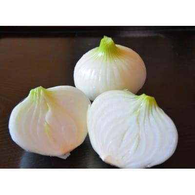 【12月下旬より順次発送】新玉ねぎ　新春丸　L～2Lサイズ10kg　35～55玉程度・N050-18