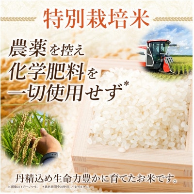 特別栽培米西尾産コシヒカリ《ぬくもり》【5kg/袋×1袋】・D024-14