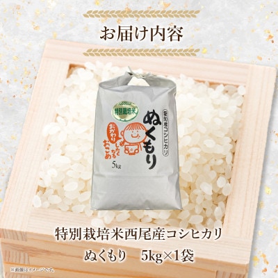 特別栽培米西尾産コシヒカリ《ぬくもり》【5kg/袋×1袋】・D024-14