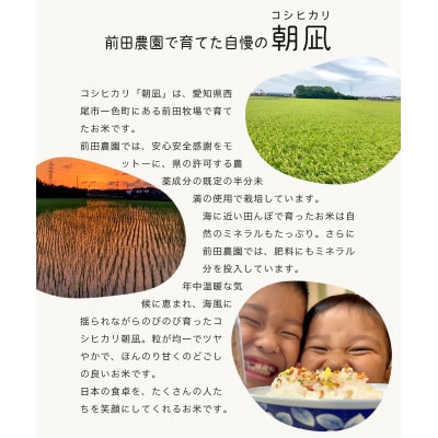 【令和7年産】西尾市一色町のお米≪朝凪(コシヒカリ)≫　9kg・M074-28
