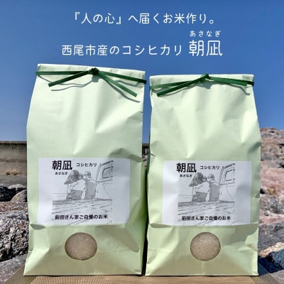 【令和7年産】西尾市一色町のお米≪朝凪(コシヒカリ)≫　9kg・M074-28