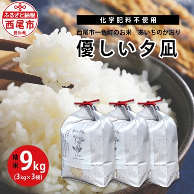 令和5年産 西尾市一色町のお米　＜優しい夕凪(あいちのかおり)＞3kg×3袋・M092-16