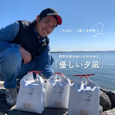 令和5年産 西尾市一色町のお米　＜優しい夕凪(あいちのかおり)＞3kg×3袋・M092-16