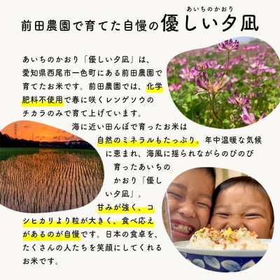 令和5年産 西尾市一色町のお米　＜優しい夕凪(あいちのかおり)＞3kg×3袋・M092-16