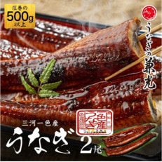 三河一色産鰻蒲焼　特々大2尾(500g以上)・ U039