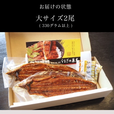 三河一色産鰻蒲焼大サイズ2尾(計330g以上)・U023-15