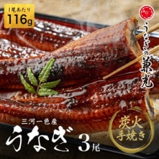 炭火手焼き 愛知県三河一色産うなぎ蒲焼き 3尾(1尾あたり116g～135g)・U025-19