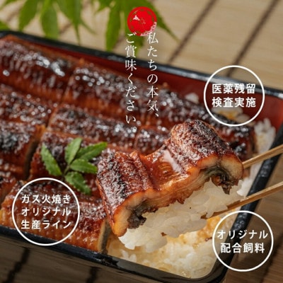 三河一色産鰻蒲焼無頭　超特々大サイズ2尾・U036-20
