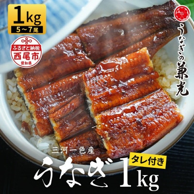 大満足1kg愛知県三河一色産うなぎ蒲焼き(5尾～7尾)・U040-33