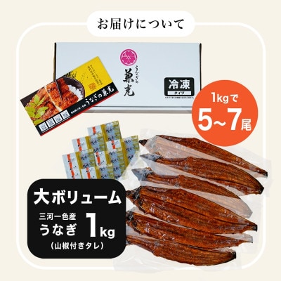 大満足1kg愛知県三河一色産うなぎ蒲焼き(5尾～7尾)・U040-37