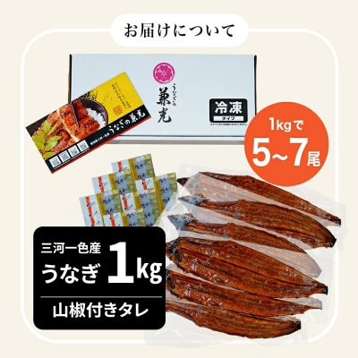 大満足1kg愛知県三河一色産うなぎ蒲焼き(5尾～7尾)・U040-33