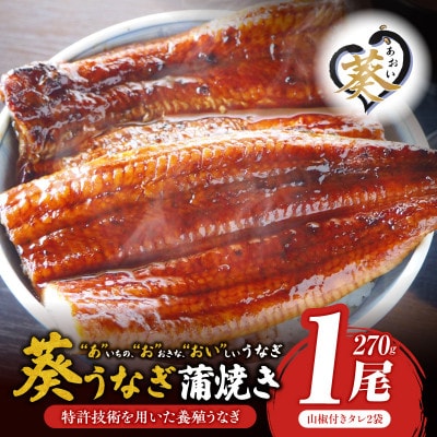 「あ」いちの「お」おきな「おい」しいうなぎ　葵うなぎ蒲焼き(1尾270g以上)・タレ2個・U041