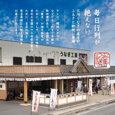 愛知県三河産  めすうなぎ「艶鰻」無頭蒲焼2尾(計600g以上)・U049_s