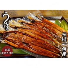 三河一色うなぎ　蒲焼5尾(合計800g以上)　鰻肝付き　F012