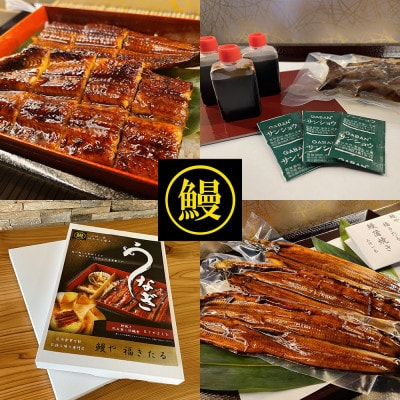 三河一色うなぎ蒲焼き3尾(中サイズ)肝焼き付き・F017-22