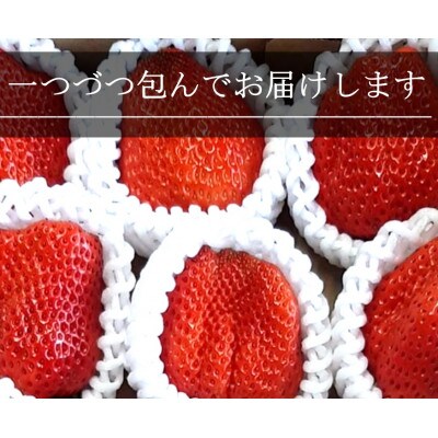 Lサイズいちご(紅ほっぺ) 400g以上(7～10粒、1粒40g以上) ・O036