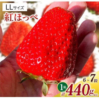 LLサイズいちご(紅ほっぺ)　440g以上(6～7粒)×1箱・O037-18