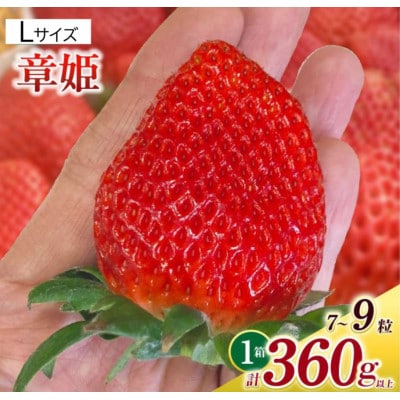 Lサイズいちご(章姫)　360g以上(7～9粒)×1箱・O038-12