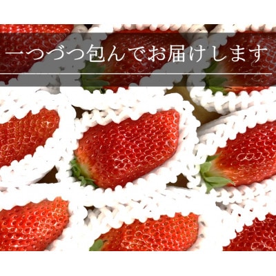 Lサイズいちご(章姫) 360g以上(7～9粒、1粒40g以上)・O038-11