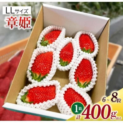 LLサイズいちご(章姫)　400g以上(6～8粒)×1箱・O039-16