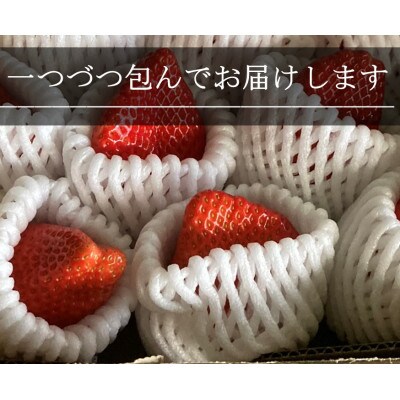 LLサイズいちご(章姫)　400g以上(6～8粒、1粒50g以上)  ・O039-15　