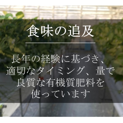 LLサイズいちご(章姫)　400g以上(6～8粒、1粒50g以上)  ・O039-15　