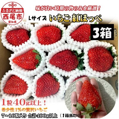いちご(紅ほっぺ)　Lサイズ　400g以上(7～10粒、1粒40g以上) ×3箱・O042　