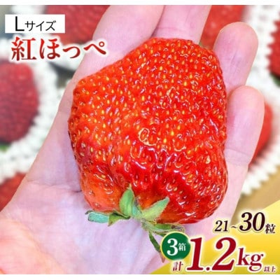Lサイズいちご(紅ほっぺ)　400g以上(7～10粒)×3箱・O042-30