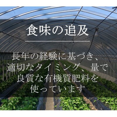 いちご(紅ほっぺ)　Lサイズ　400g以上(7～10粒、1粒40g以上) ×3箱・O042　