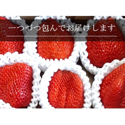 いちご(紅ほっぺ)　Lサイズ　400g以上(7～10粒、1粒40g以上) ×3箱・O042　