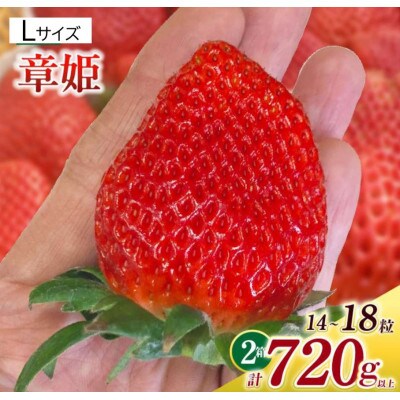 Lサイズいちご(章姫)　360g以上(7～9粒)×2箱 ・O044-21
