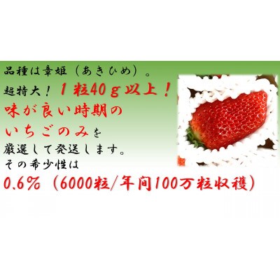 いちご(章姫)　Lサイズ　360g以上(7～9粒、1粒40g以上)×2箱・O044-19