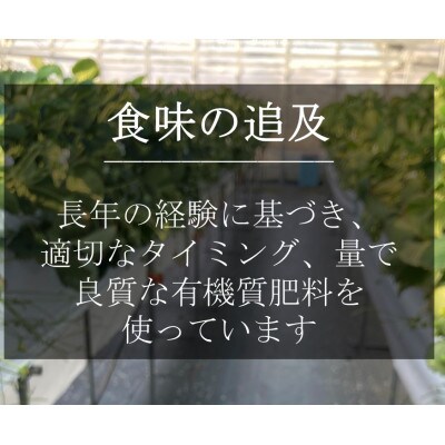 いちご(章姫)　Lサイズ　360g以上(7～9粒、1粒40g以上)×2箱・O044-19