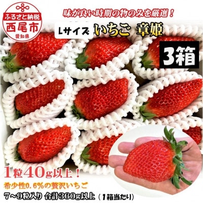 いちご(章姫)　Lサイズ　360g以上(7～9粒、1粒40g以上)×3箱・O045-26