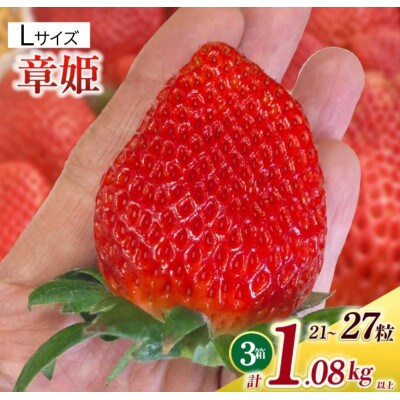 Lサイズいちご(章姫)　360g以上(7～9粒)×3箱 ・O045-29
