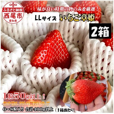 いちご(章姫)　LLサイズ　400g以上(6～8粒、1粒50g以上)　×2箱 ・O046
