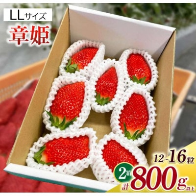 LLサイズいちご(章姫)　400g以上(6～8粒)×2箱・O046-28