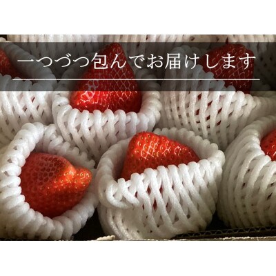 いちご(章姫)　LLサイズ　400g以上(6～8粒、1粒50g以上)　×2箱 ・O046