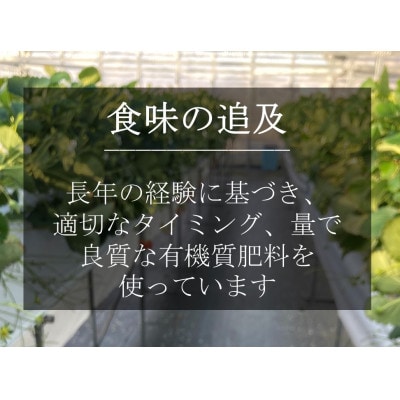 いちご(章姫)　LLサイズ　400g以上(6～8粒、1粒50g以上)　×2箱 ・O046