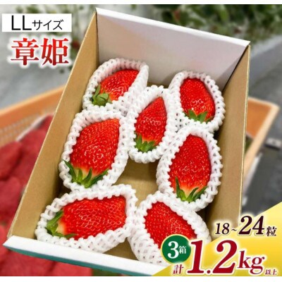 LLサイズいちご(章姫)　400g以上(6～8粒)×3箱・O047-38