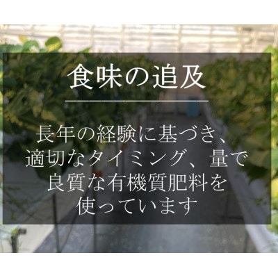 いちご(章姫)　LLサイズ　400g以上(6～8粒、1粒50g以上)  ×3箱・O047　