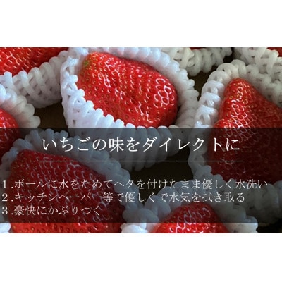LLサイズいちご(紅ほっぺ)　440g以上(6～7粒)×2箱・O043-32