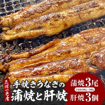 三河一色産手焼きうなぎの蒲焼と肝焼【蒲焼パック冷凍×3尾、肝焼×3個】・M099