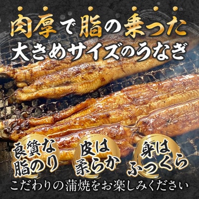 三河一色産手焼きうなぎの蒲焼と肝焼【蒲焼パック冷凍×3尾、肝焼×3個】・M099